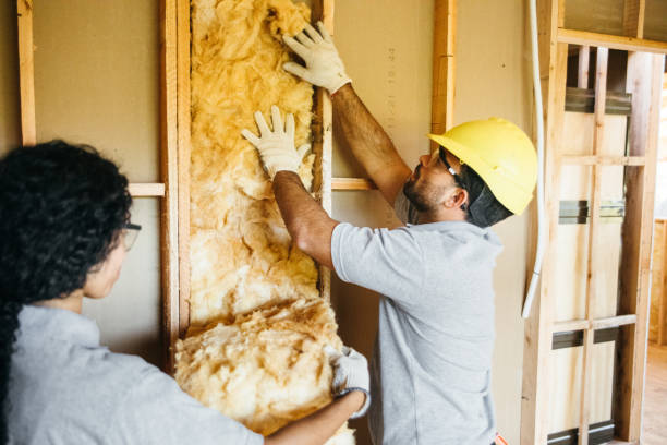 Insulation Replacement Services in Winnfield, LA